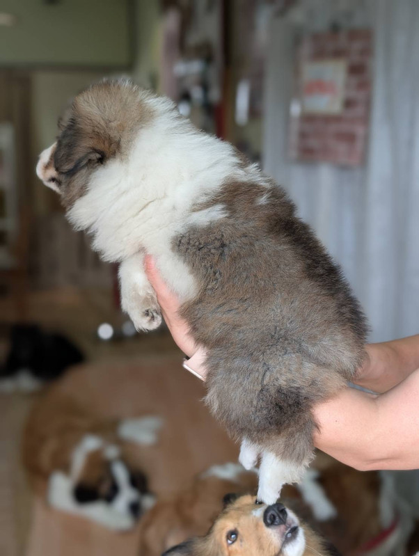 なつちゃん アップ
