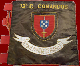 12-CCmds-vm