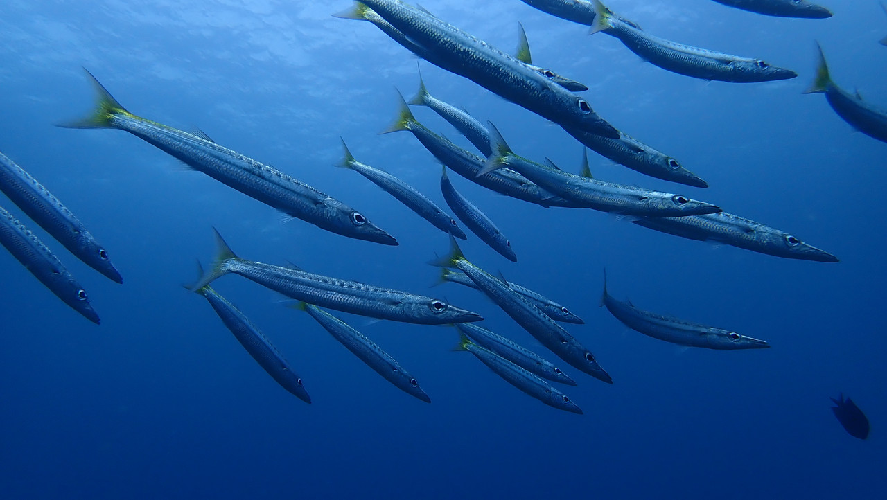 712831B0-0A8A-4DA0-B716-5A359EBB057A