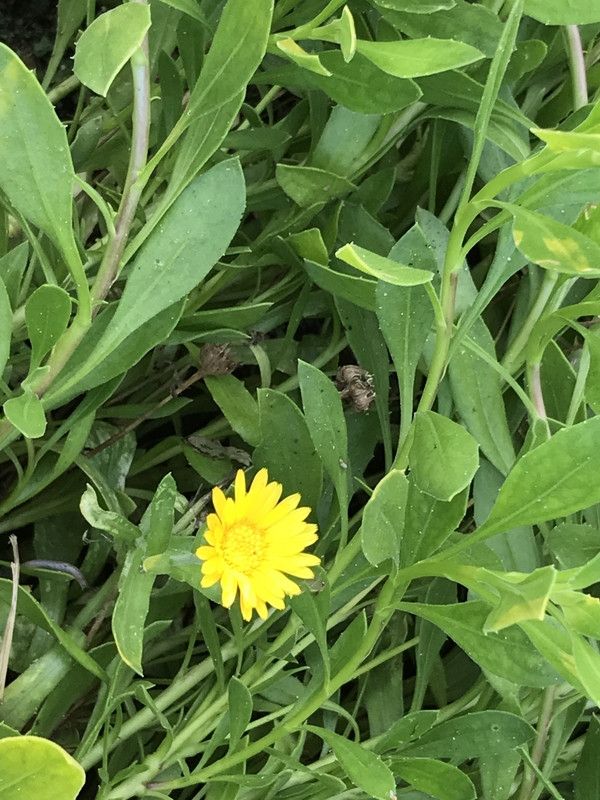 [Image: 8885-E145-349-E-4725-B7-E8-9-E796-AC00127.jpg]