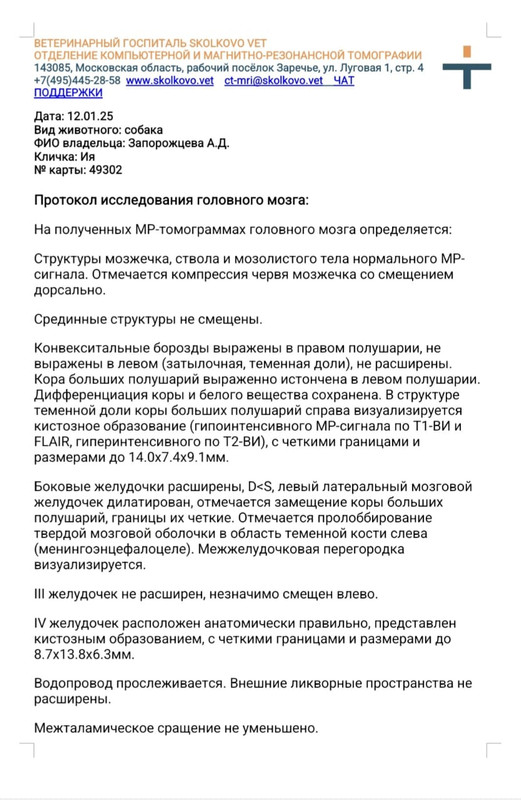 Whats-App-Image-2025-02-14-at-10-32-26