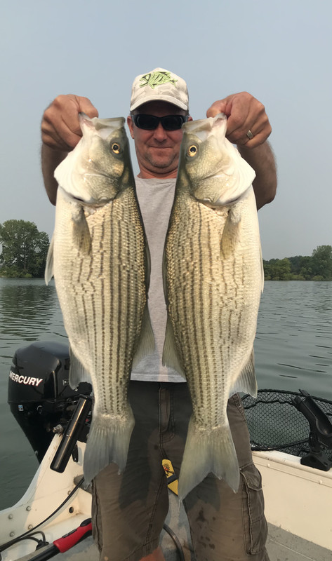 EE5798F5-B535-42EA-BEBB-1B67382036FA