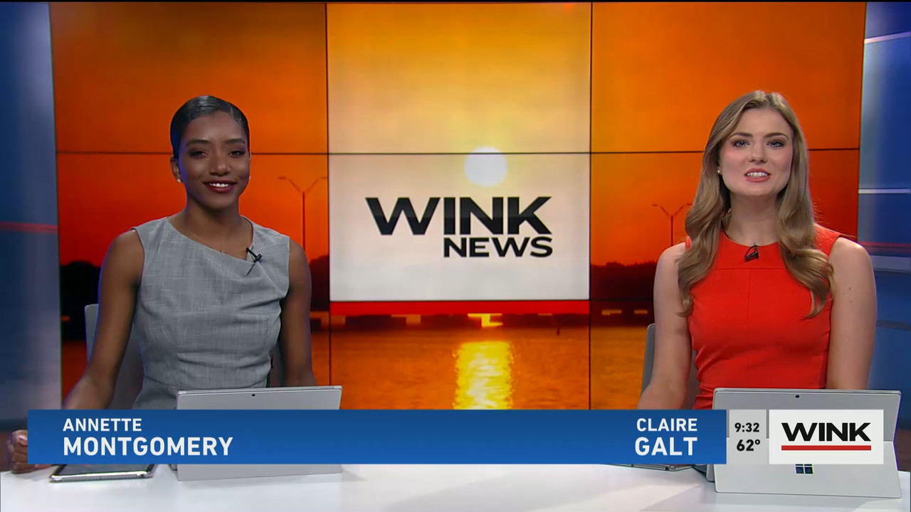 02.04 - 14.00.00 - WINK News at 9 00AM  ᴺᵉʷ. Morning news.ts_snapshot_00.38.33.091