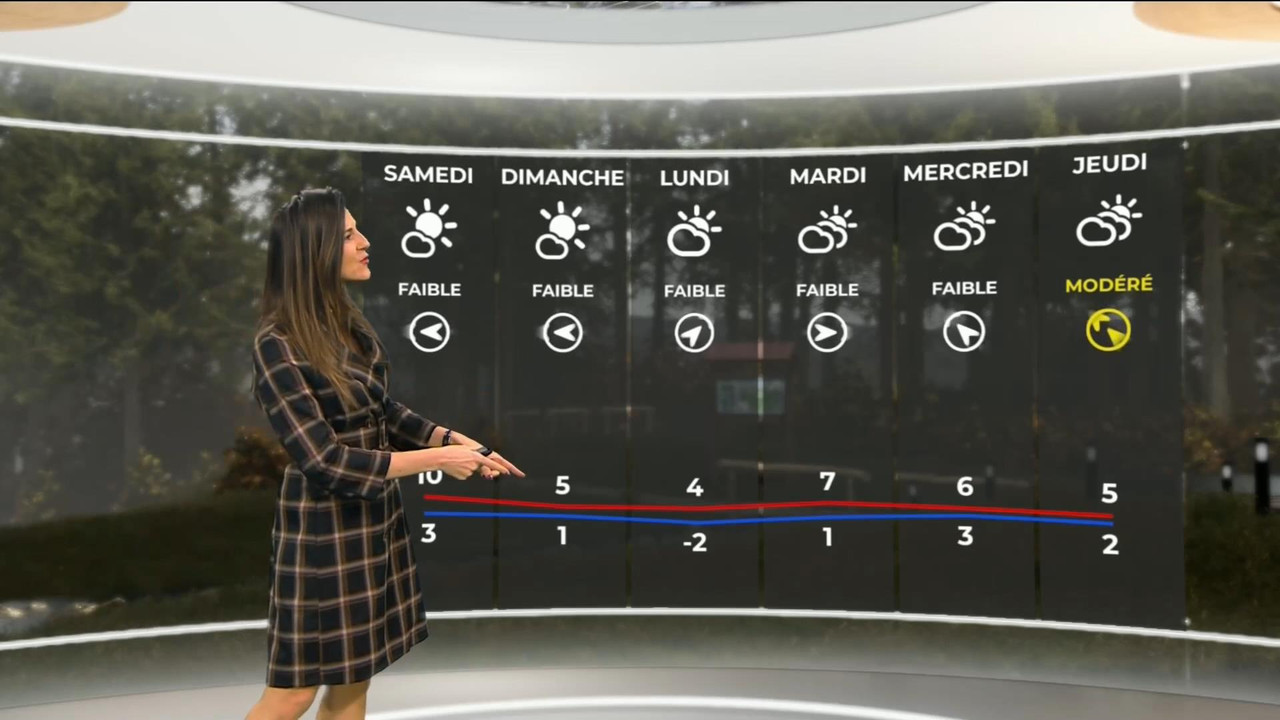 Daniela Prepeliuc 261120.mp4_snapshot_02.06_[2020.11.26_17.24.08]