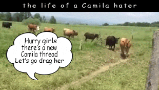 cowparadegirls.gif
