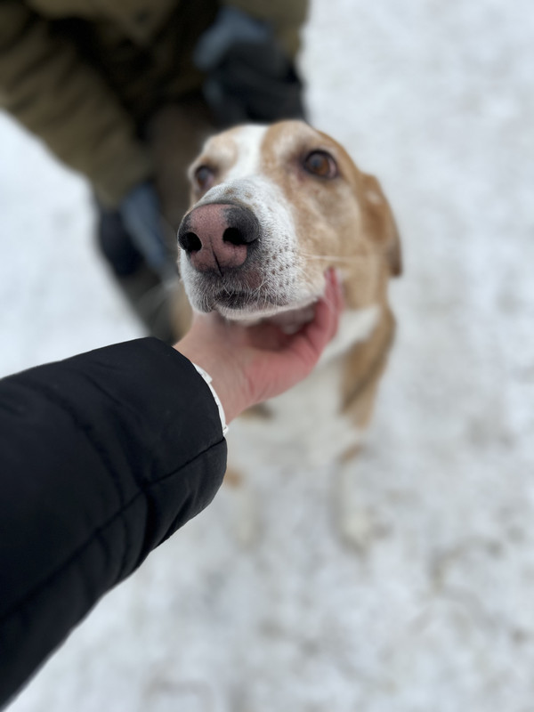 13586E7C-8BB4-400C-AD6B-A27D531F949D