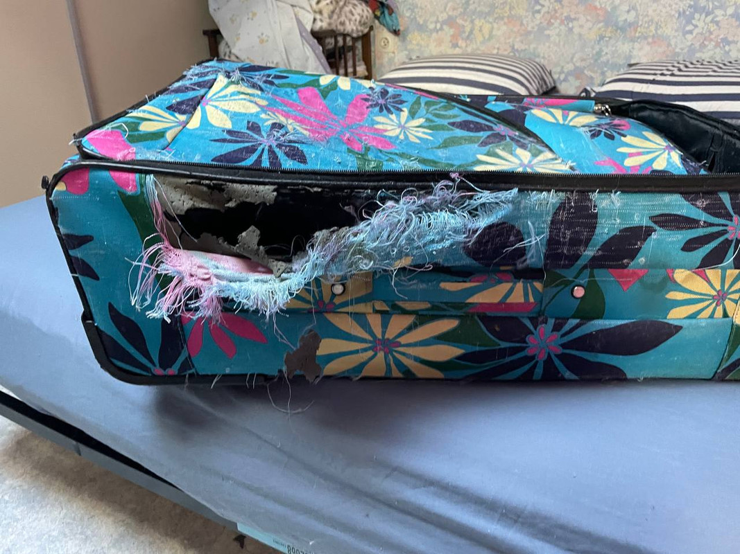 51699051-3A5E-4B49-9203-2F2A287D4EA7