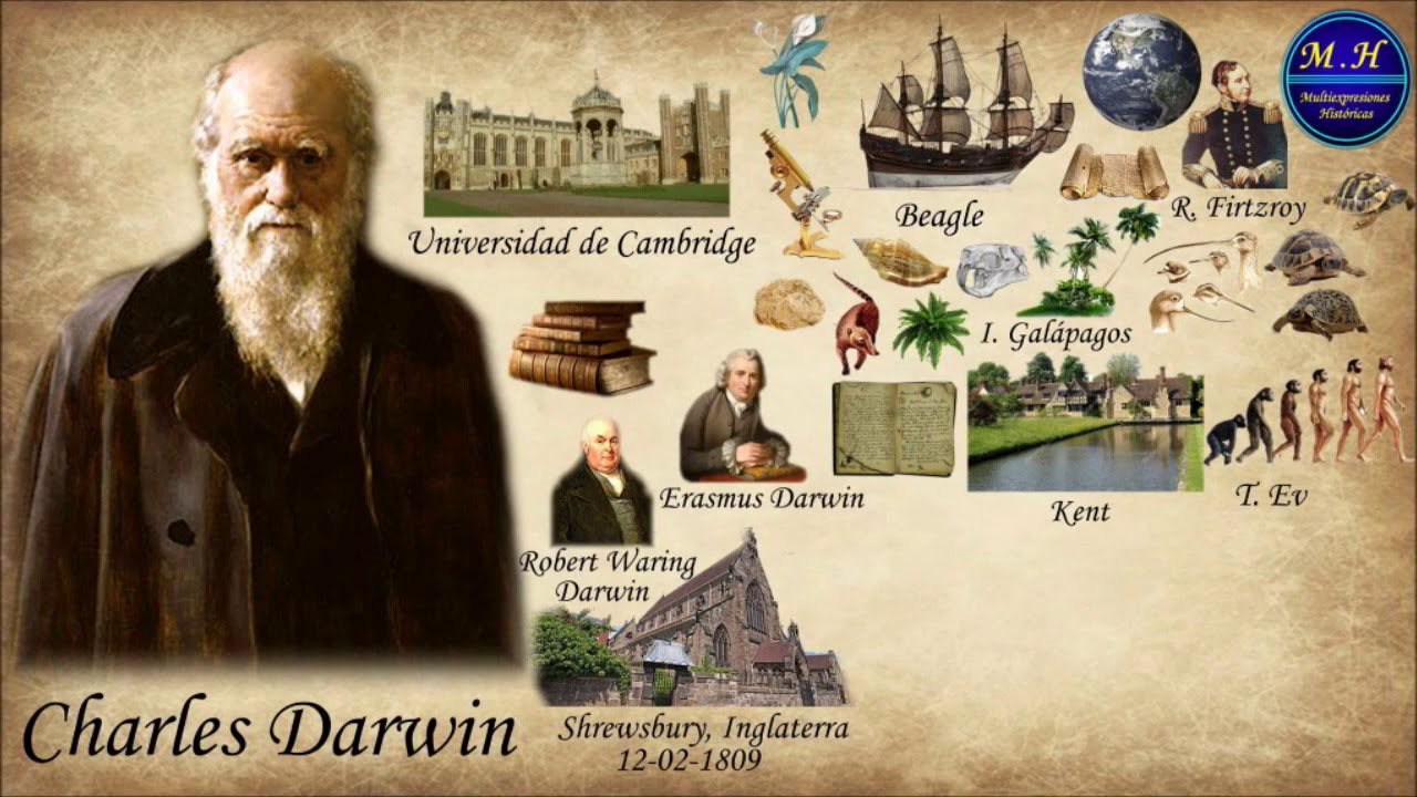Darwin non è mai stato uno scienziato biologo, si è laureato in teologia