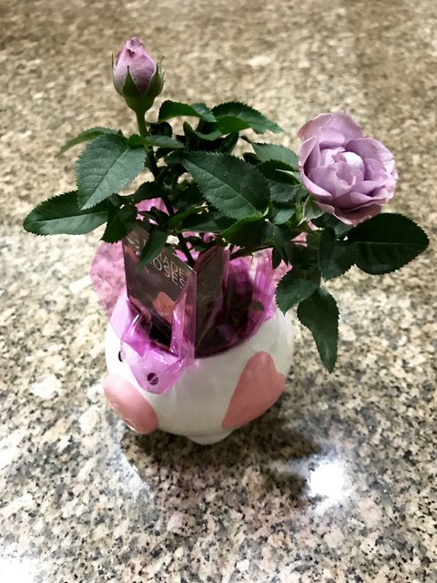 [Image: E116-FB5-B-3266-4413-A733-0-E3-F162-DC428.jpg]