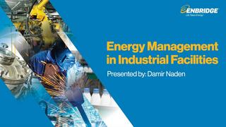 Industrial Energy Management