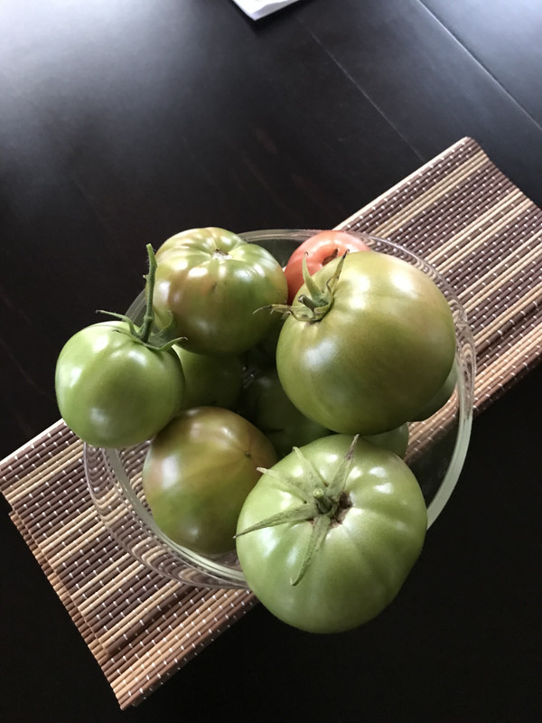 73E79696-03AC-4C14-87EE-20AFA17E7165