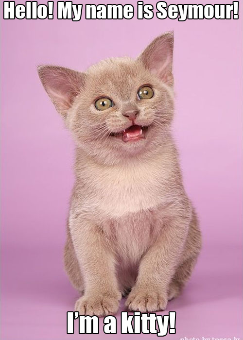 tumblr_lyq176kh1H1qzs6oc