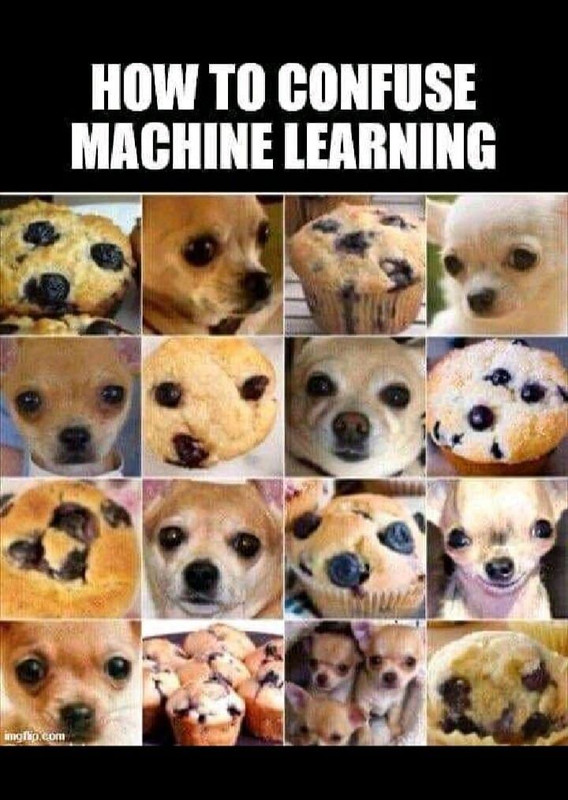 Muffin vs chihuahua | Kaggle