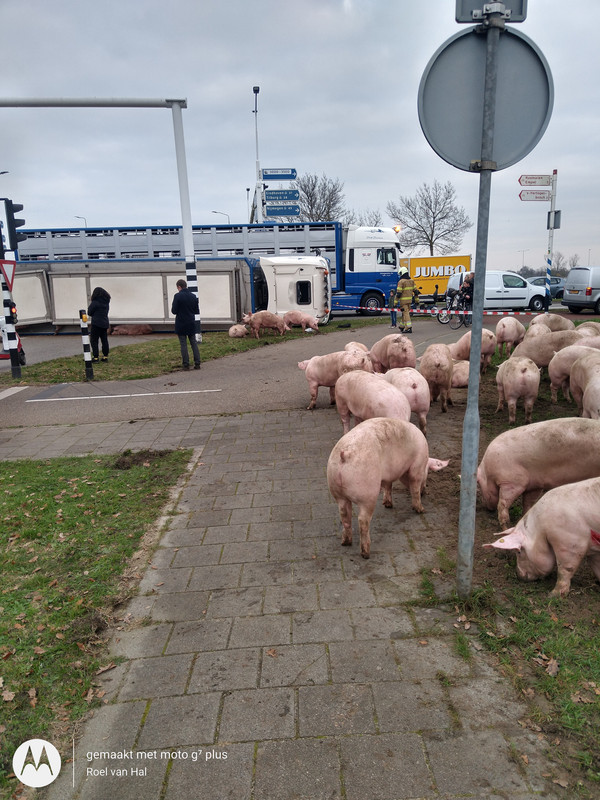 IMG_20201125_135923352_HDR