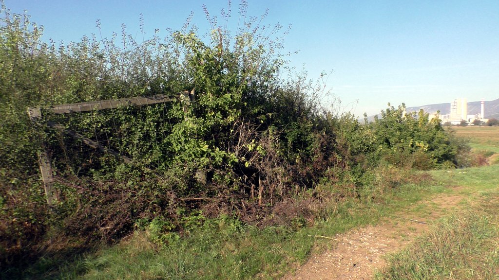 [Bild: S9750001.jpg]