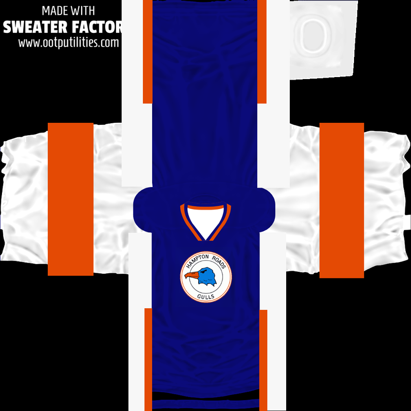 jersey_hampton_roads_gulls_away