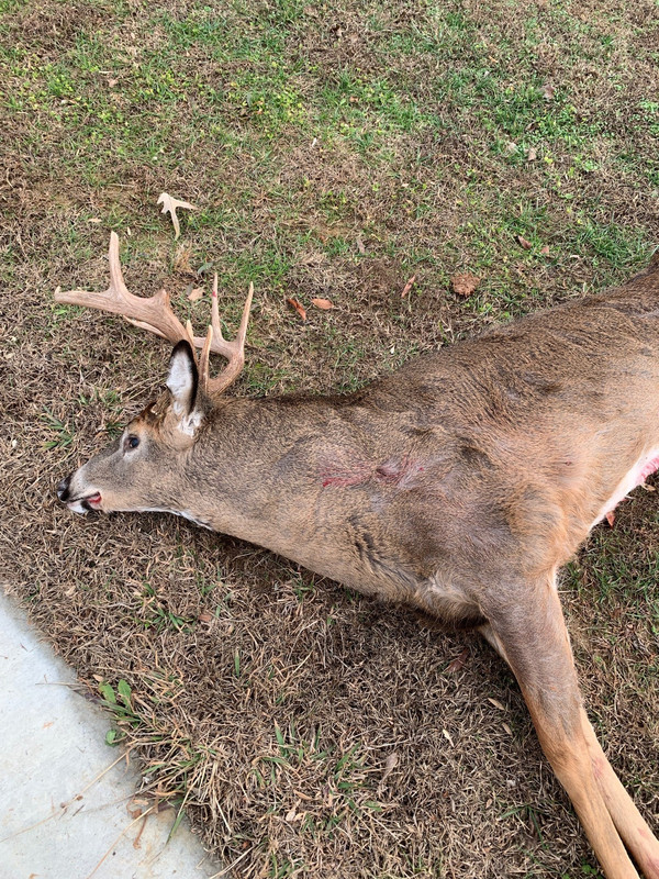 9 pt b.