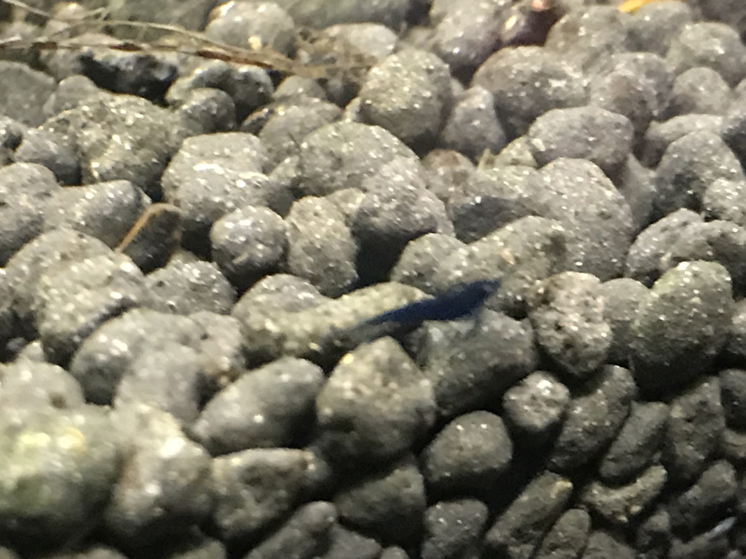 7837D73E-DE80-4AAF-93AC-0B4F76DBB86F