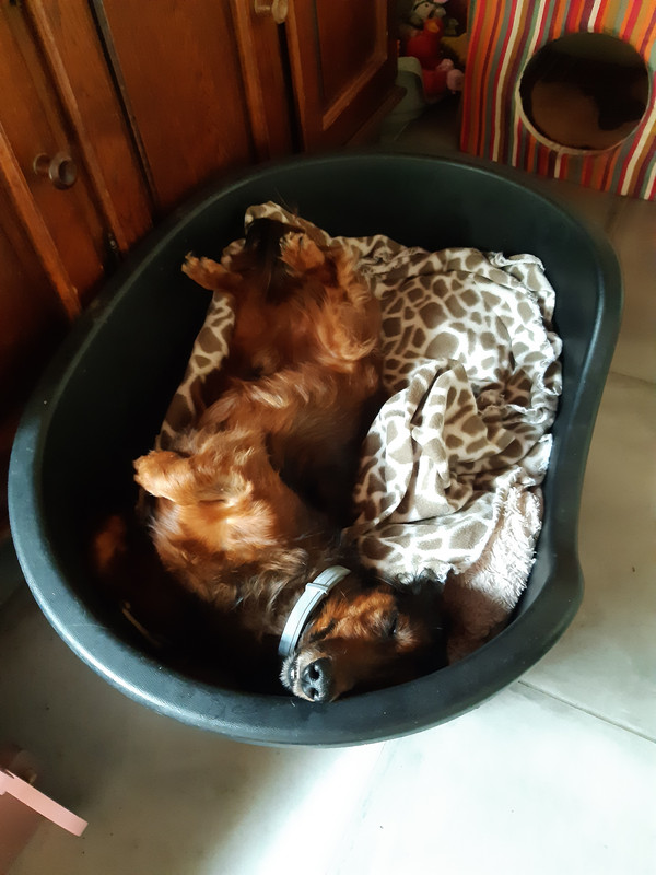 [Image: 20200716-165732.jpg]