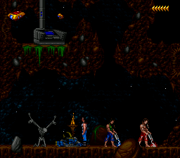 Blackthorne (USA)_007