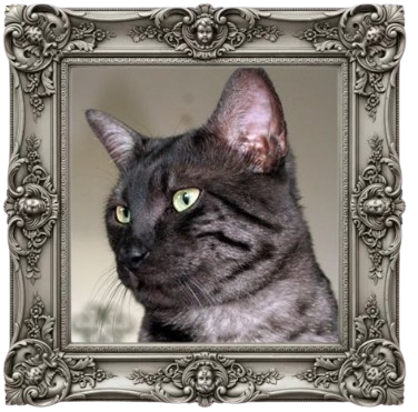 Image posted by the member