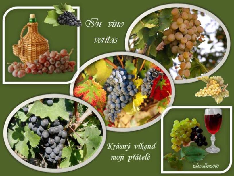 VIKEND-in-vino-veritas