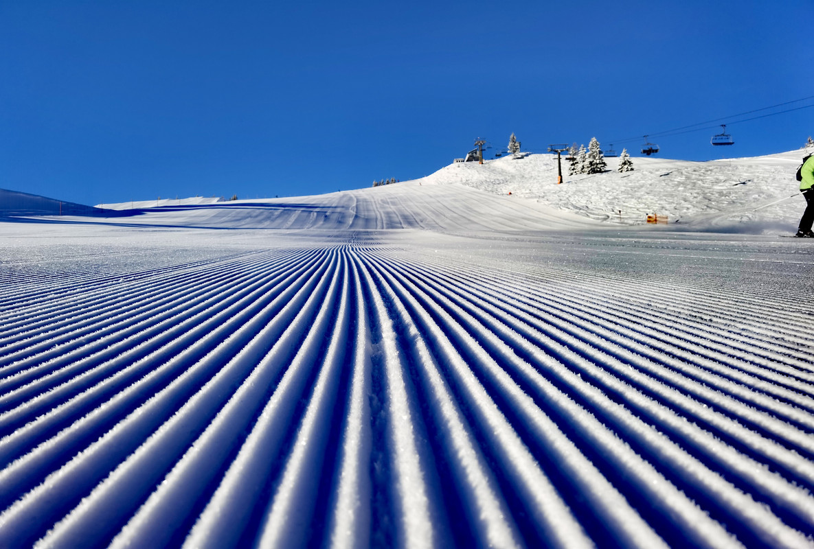 IMG_20220107_091923_edit_446757638766725