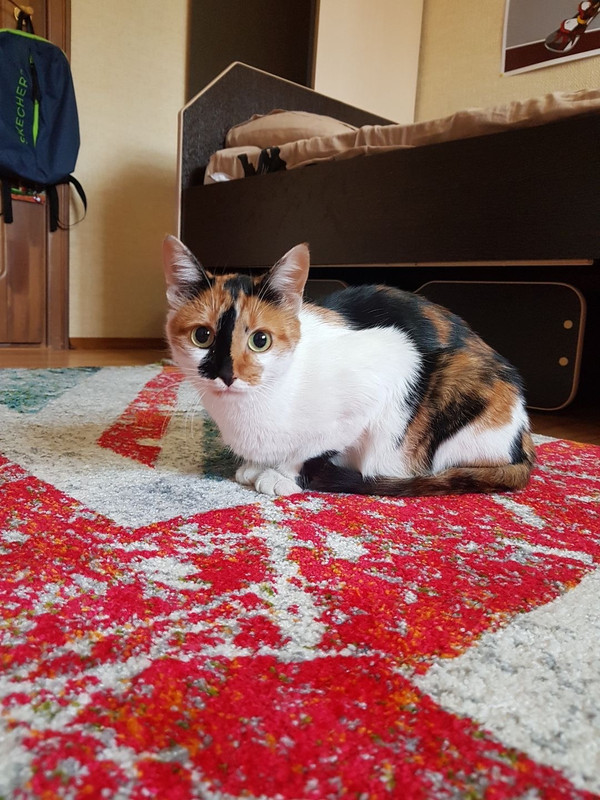 9BDC53EE-3580-4675-BA69-63C1F09668B4