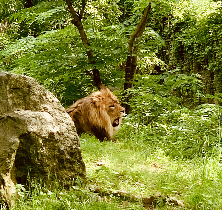 BBEB6799-0A08-400C-8125-5AA08E045A76