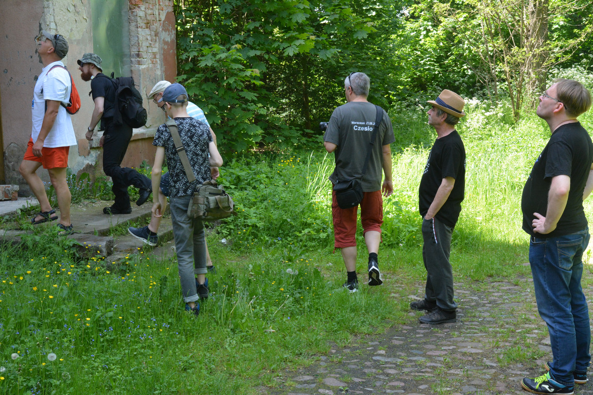 06.11 - DSC_7607 (Ater)