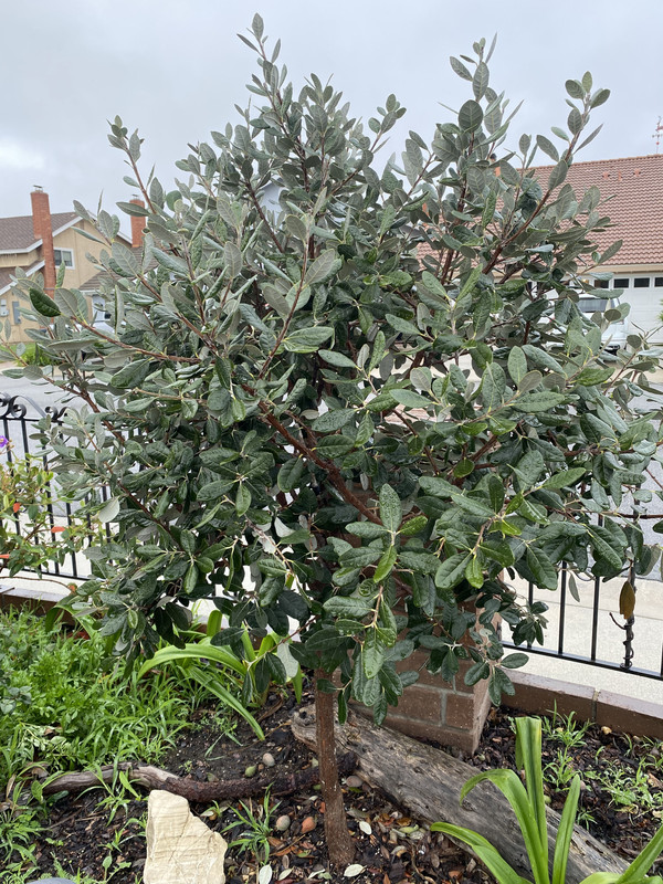 A7A824F1-15E4-4C39-9413-99BDC15D5352