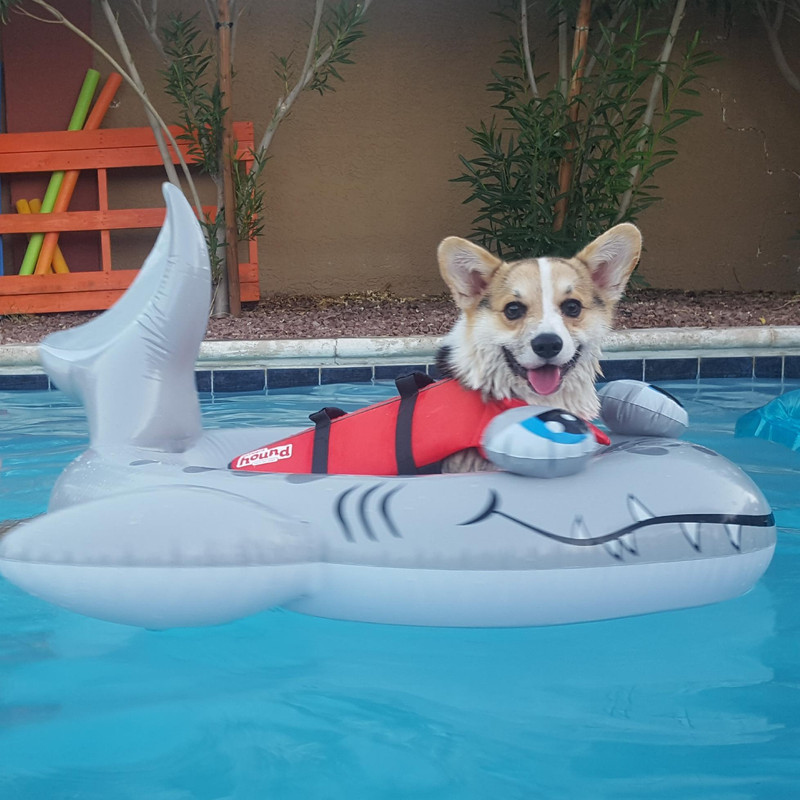 (JPEG Image, 1956?×?1955 pixels) - Scaled (32%)