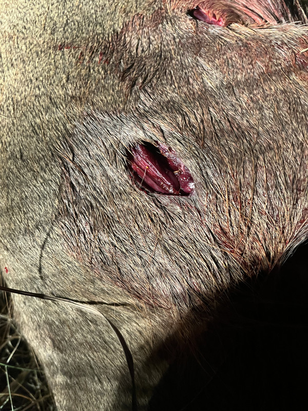 89292725-51F7-4A0F-999A-5E0F33918042