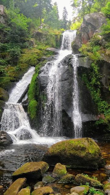 Lagos de Italia, Suiza y Alemania - Blogs de Europa - Cataratas del Rhin, Triberg,  Gengenbach, Friburgo (2)