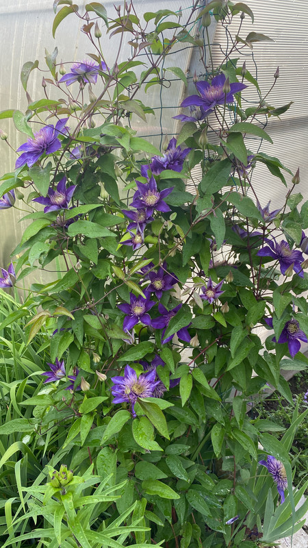 94648CC2-D4DB-445E-B2C2-284D47C01BD1