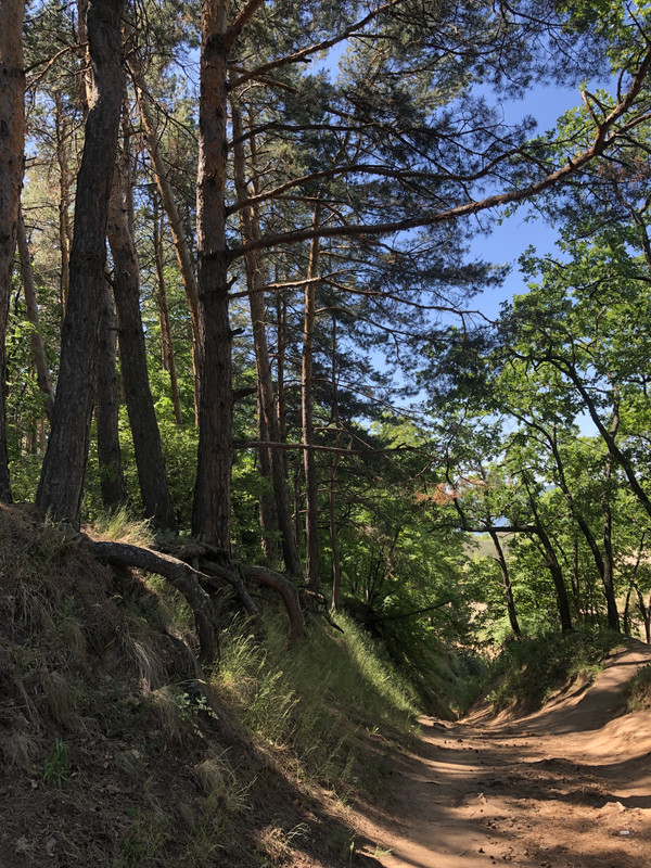 73AD43B1-00FD-4DF7-8599-E46A5490D15D