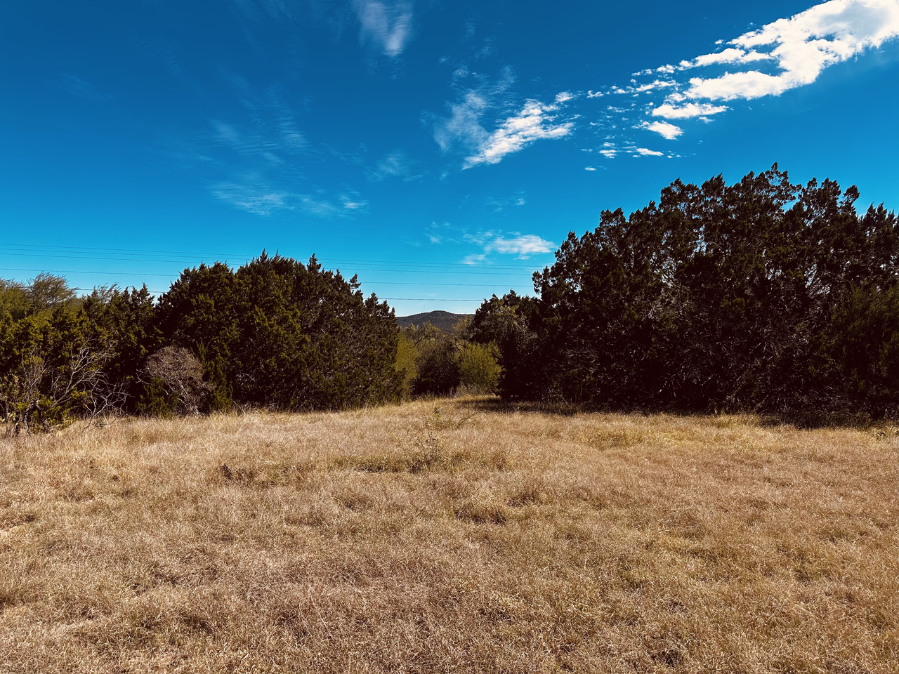 Along the trail