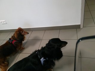 [Image: IMG-20210506-190748.jpg]