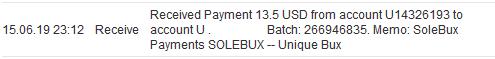 Solebux-payment-15062019.jpg