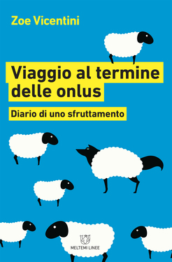 Zoe Vicentini – Viaggio al termine delle onlus (2018)