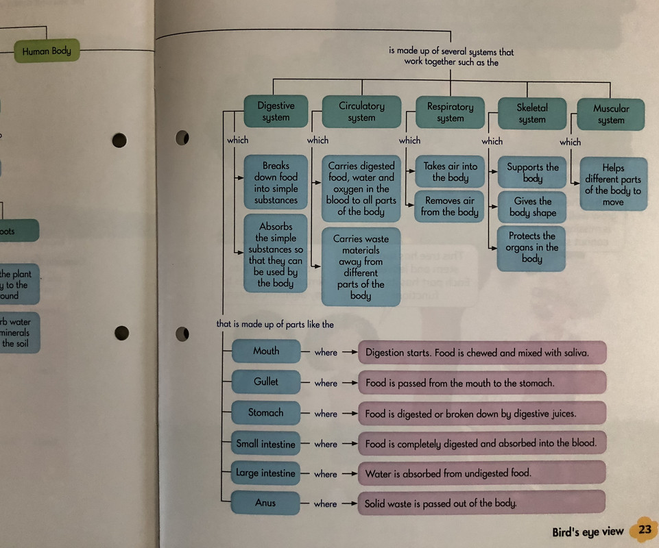 047F46E5-4630-4040-9058-0BD9FD3FE1D0