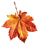 aaa