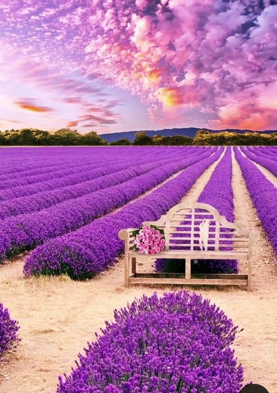 Screenshot_20240527_231343_Pinterest