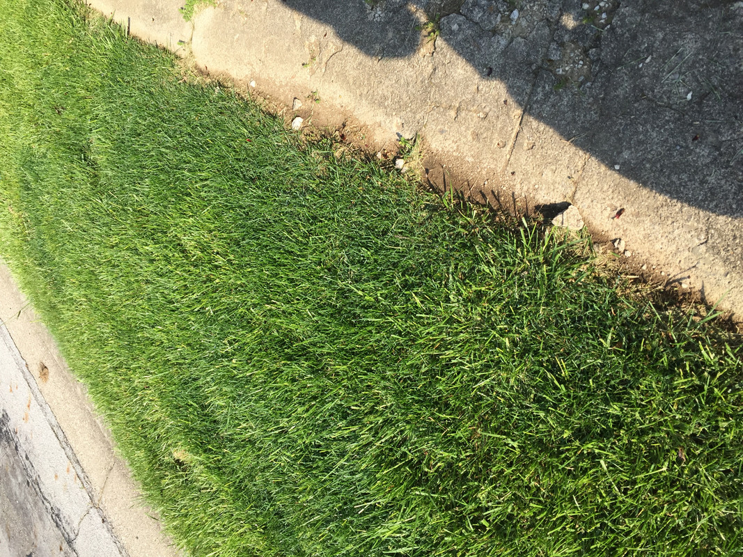 Photo May 04, 09 17 59