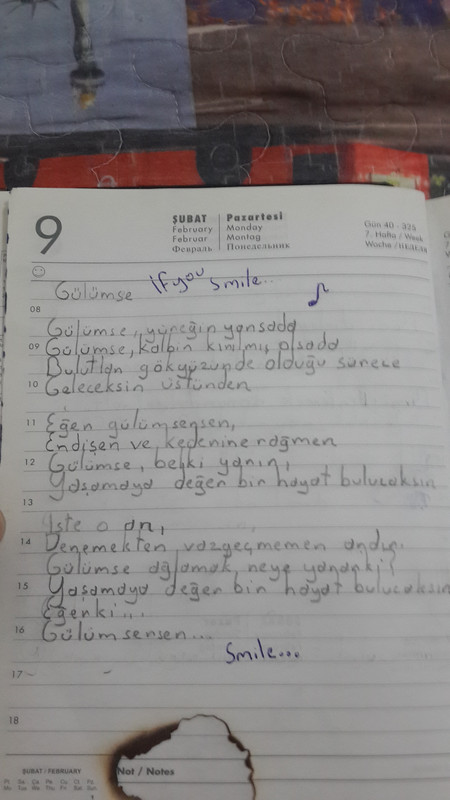 Resim