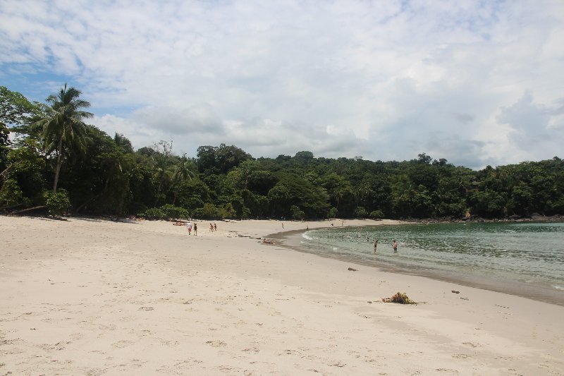 DE TORTUGAS Y PEREZOSOS. COSTA RICA 2019 - Blogs de Costa Rica - DIA 14: PARQUE DE MANUEL ANTONIO (33)