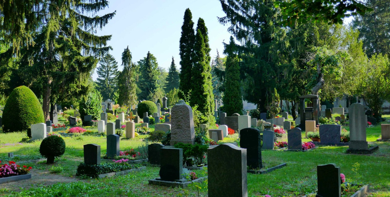 Bild: https://i.postimg.cc/2ScSNZf4/P1220556.jpg