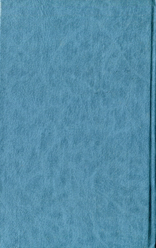 img300