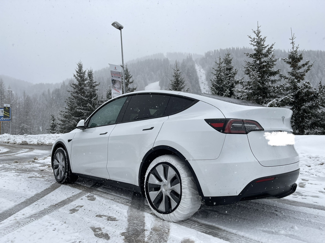 Chaussettes pour le Y - Forum et Blog Tesla