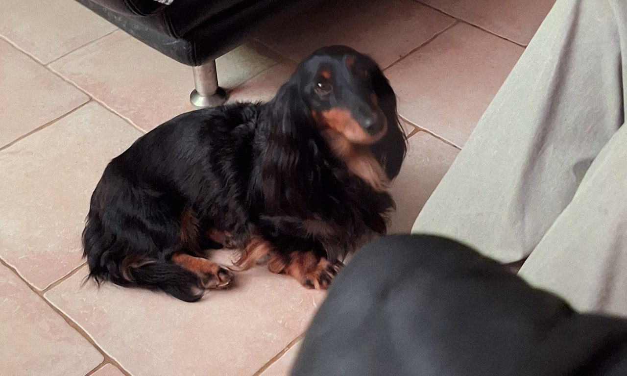 [Image: 20250107-205439.jpg]